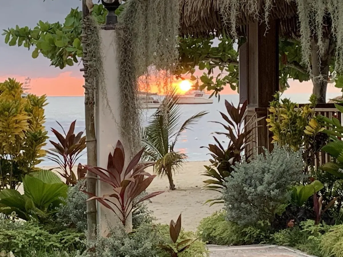 Relax In Jamaica - Enjoy 7 Miles Of White Sand Beach! Villa Νεγκρίλ 0*,